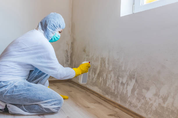 Crawl Space Mold Remediation treatment of floor joists in Severance