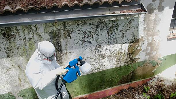 Mold Remediation service in Severance, Severance, CO
